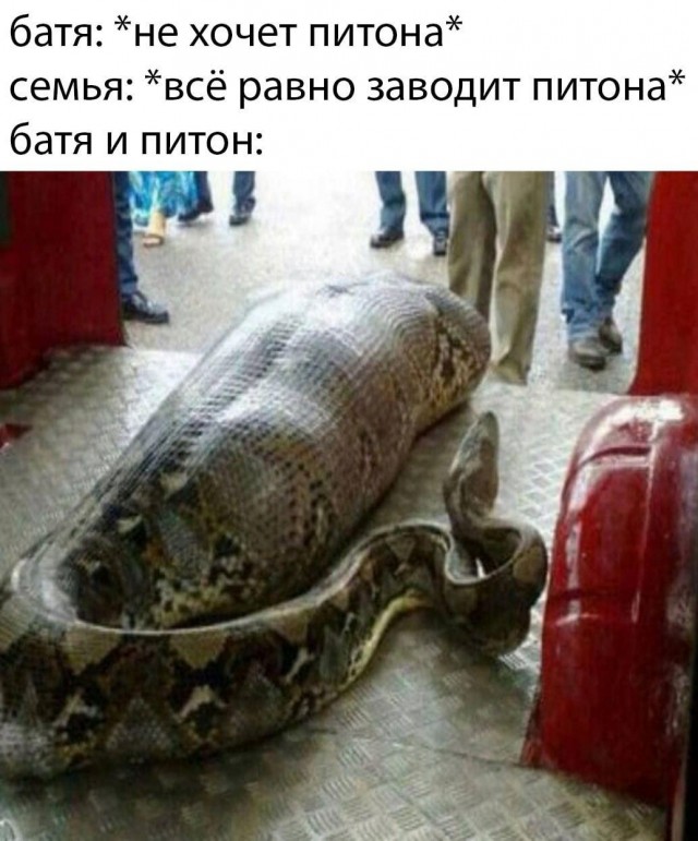 Всякие картинки