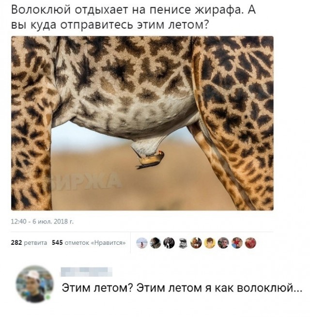 Весёлый полтишок 2.05