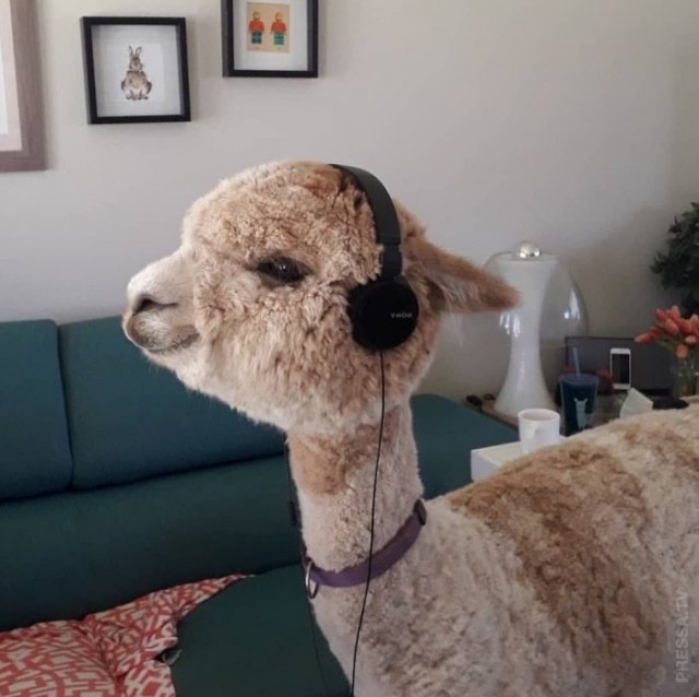 Картинки и мемы для настроения 19.05.2021