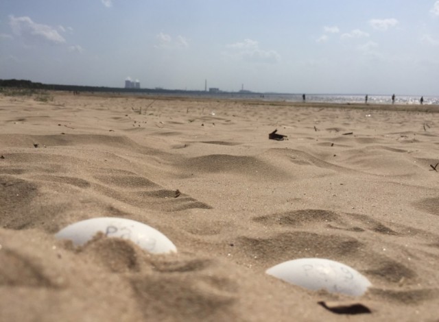 Сварил яйцо в песке на пляже