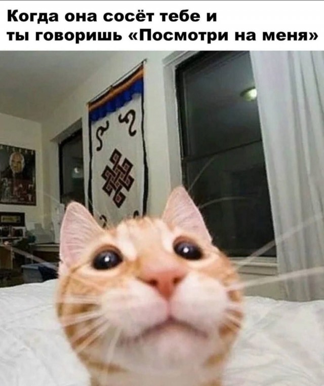 Картинки всякие и аморальные - 8
