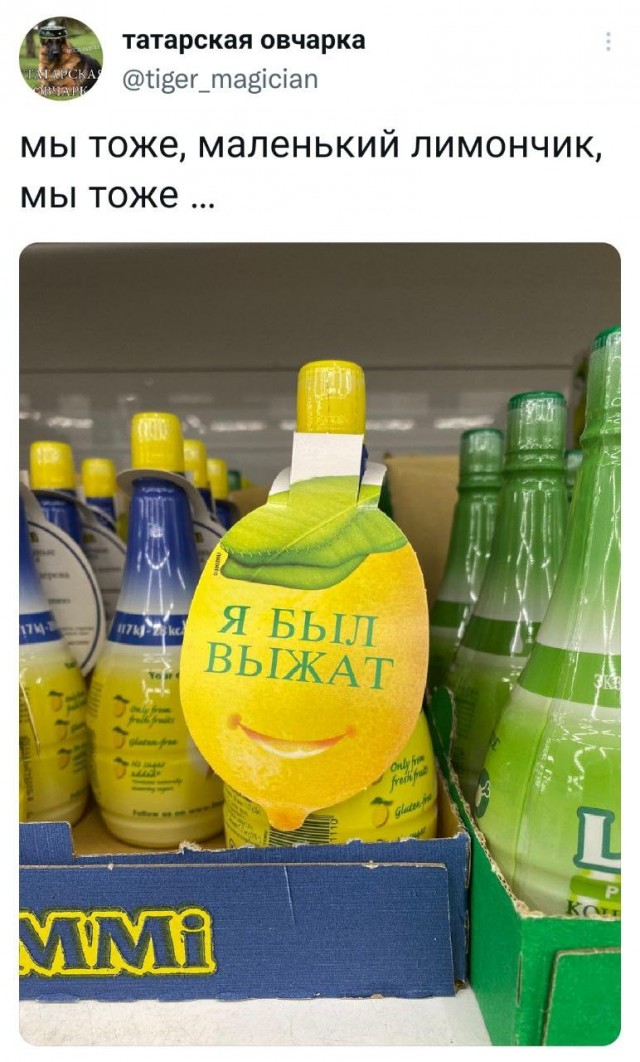 Картинки и мемы для настроения 26.08.2021