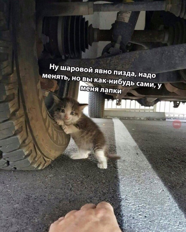 Так себе картинки 31.08.21