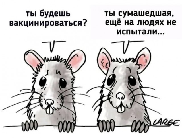 Антиковидный комитет