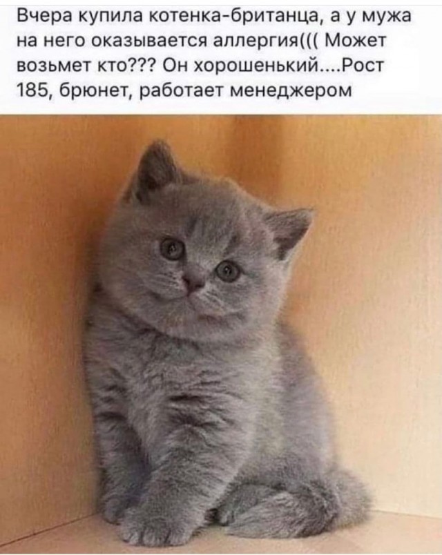 Так себе картинки 15.10.21