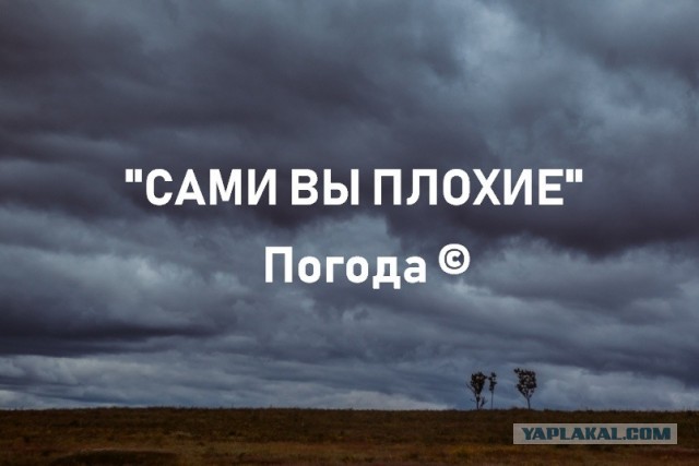 К теме про поход в "Светофор" через фазенды