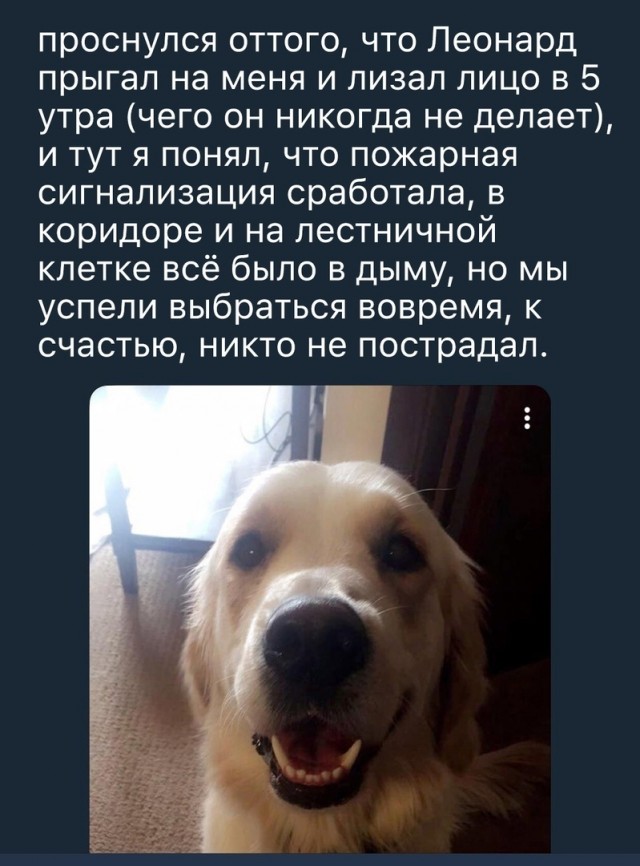 Так себе картинки 30.10.21