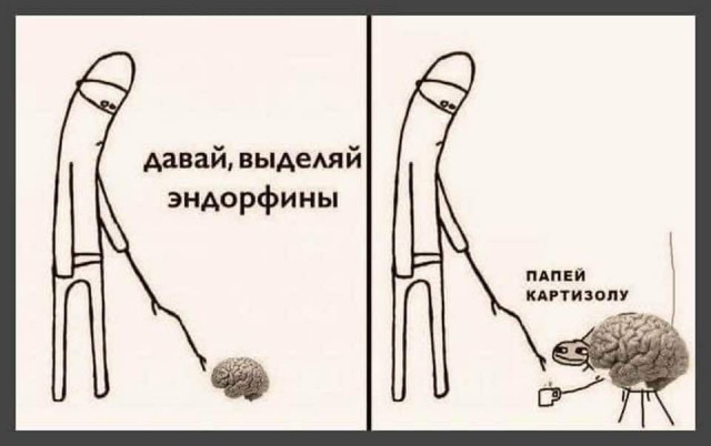 Так себе картинки 11.02.22