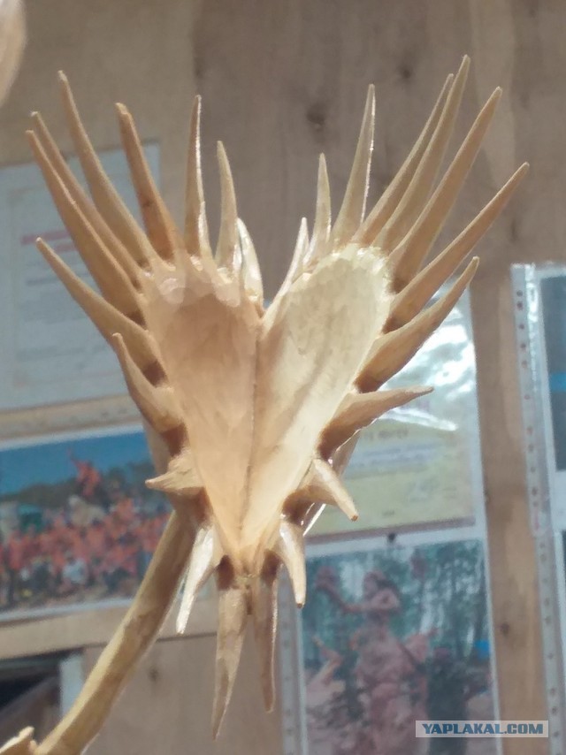 SASHAAIST:  Мое Солнышко