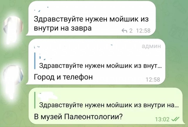 Весёлый полтишок 24.05.22