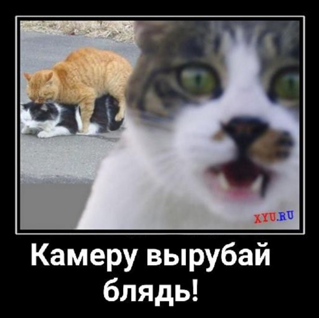 Камеру вырубай нах@й!