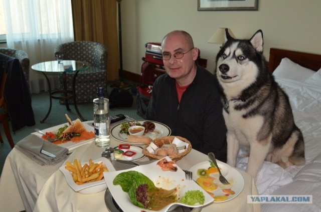 Любовь с первого взгляда