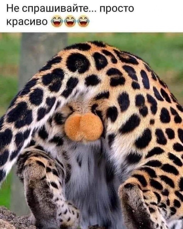 Чёрно-пошлая Среда, для деградантов