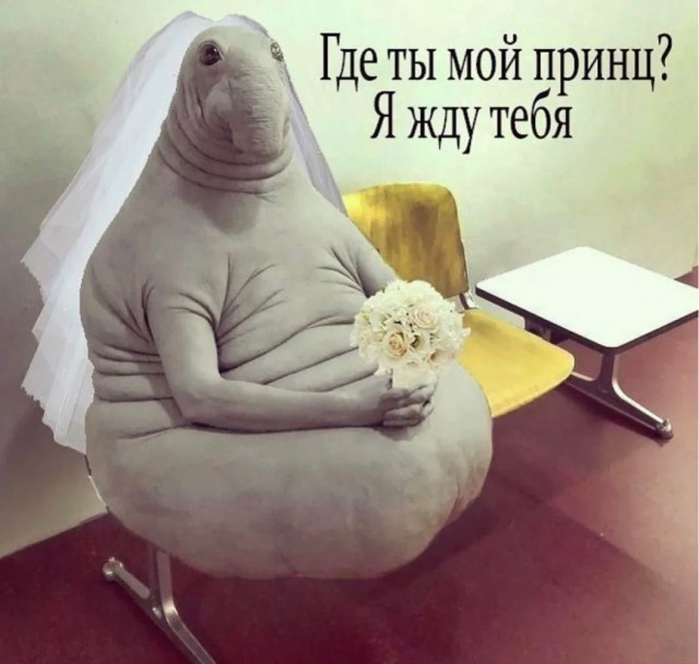 И эти люди потом размножаются