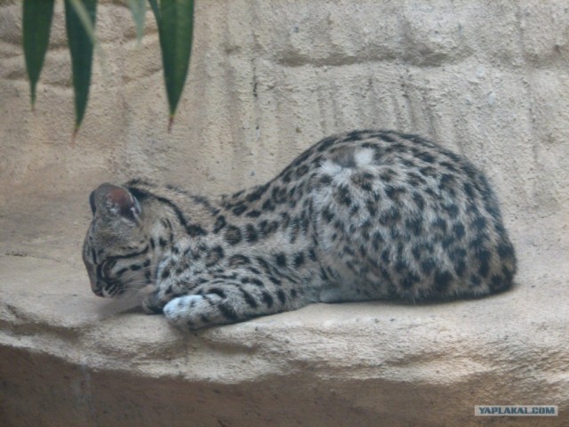 Небольшой отчет о Праге