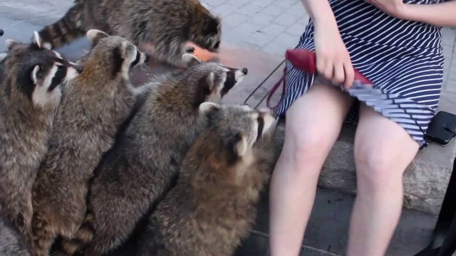 Ну и в чем она неправа?