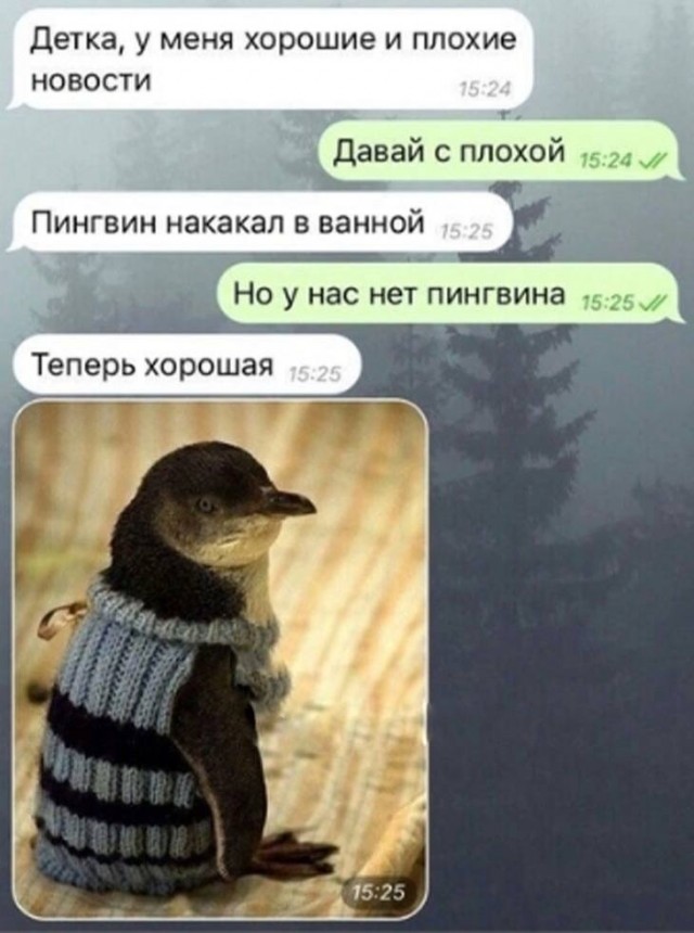 Немного мемчиков. Для взрослых. Часть 21