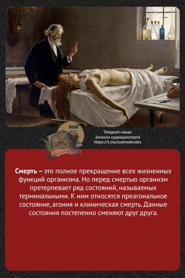 О терминальных состояниях организма