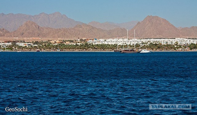 Синайские приключения. Шарм-эш-Шейх и окресности