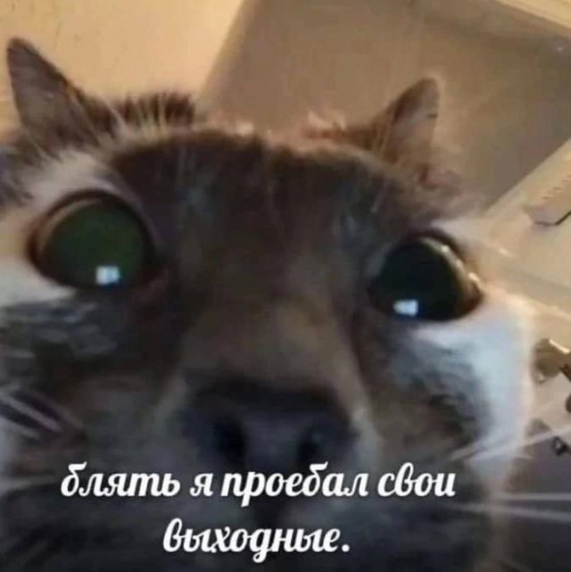 Всего понемногу. Часть 9