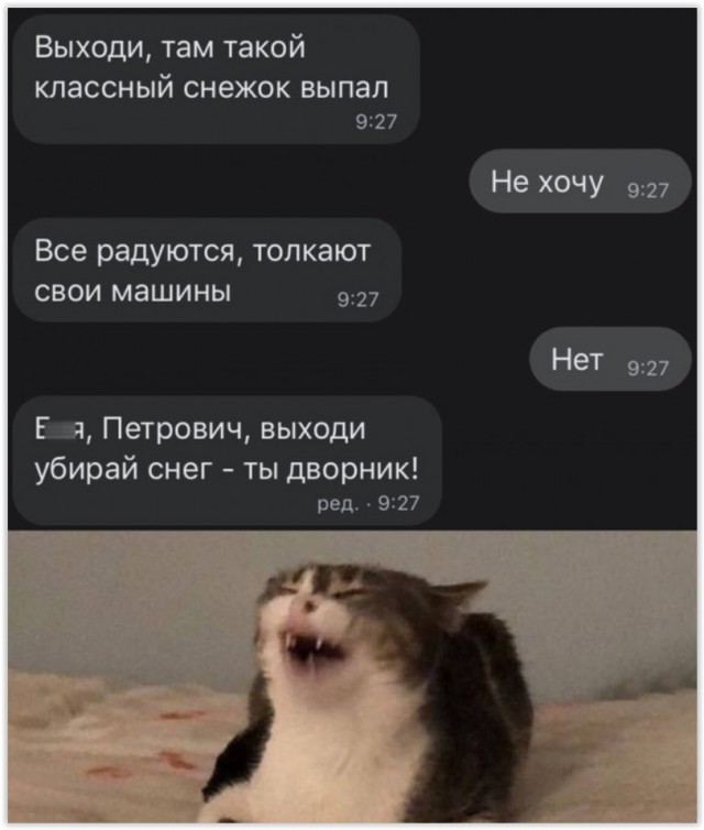 Фарш из баянов
