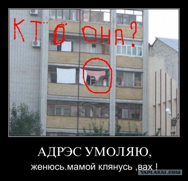 Интересно, поклонники найдутся?