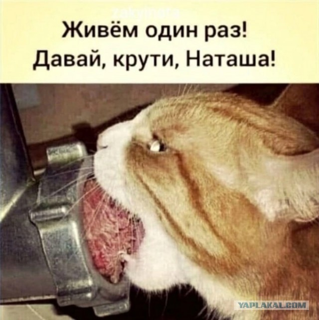 Секс без обязательств НА САМОМ ДЕЛЕ