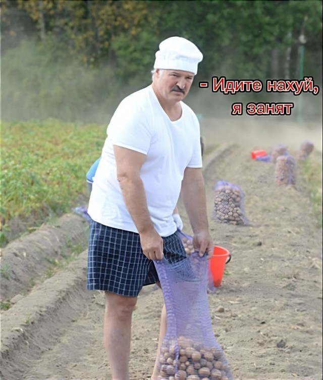 Лукашенко анонсировал дату переговоров с Украиной
