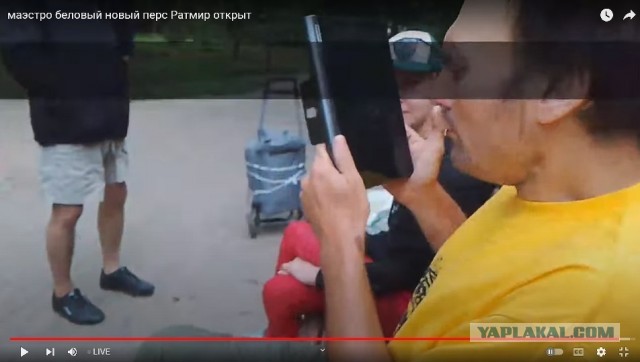 Дед на перфокартах и выключенные телефоны