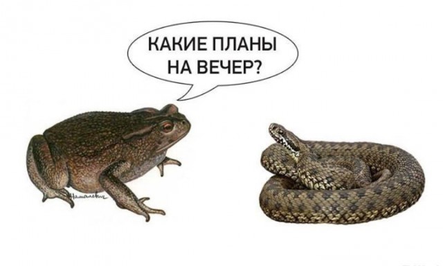 Арестованный сегодня замглавы МВД Дагестана Руфат Исмаилов погорел на майнинге