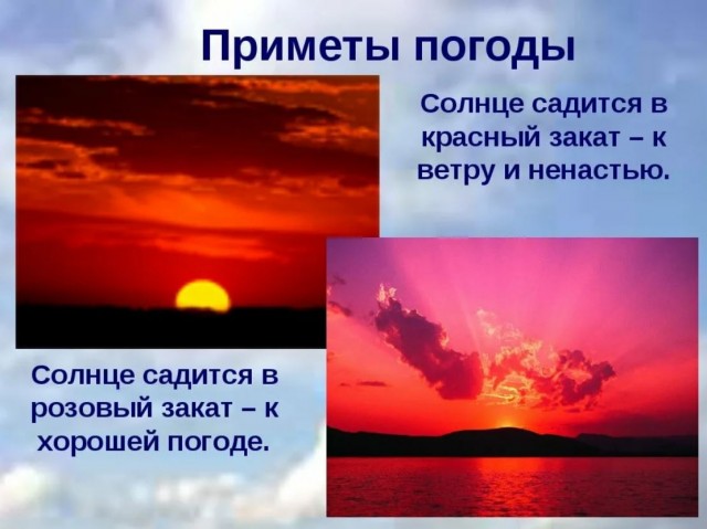Химия и жизнь