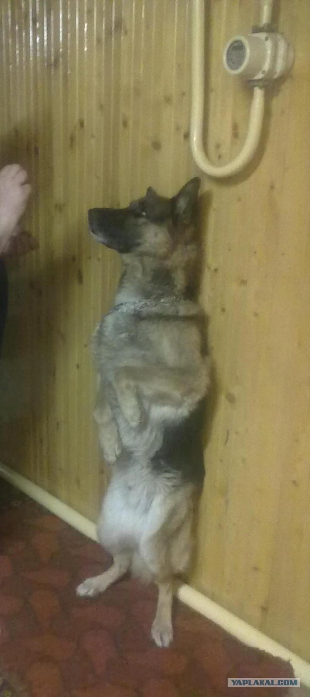 Спасение рядового