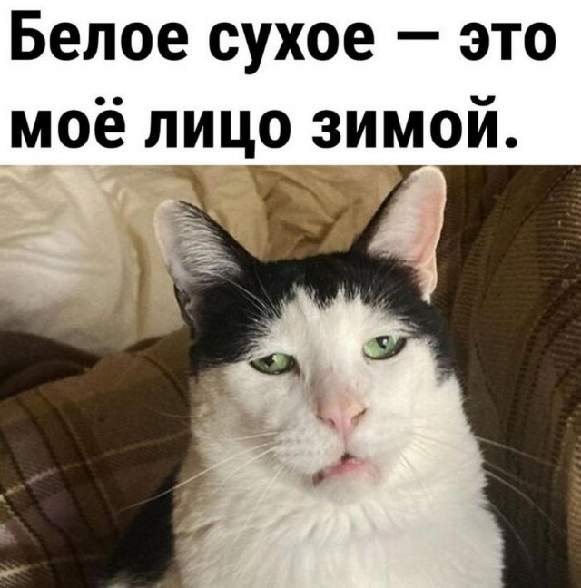 Картинки всяческие от 31.01.2024