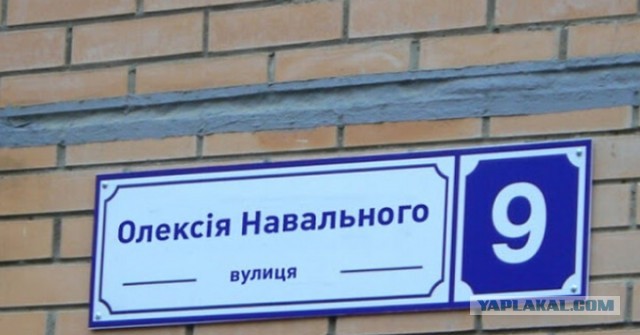 Навальный в ответ на вопрос, что делать, если его убьют