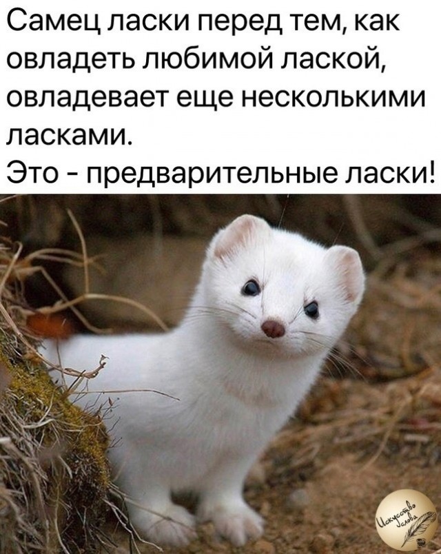 ДНК-экспертиза освободила от уплаты алиментов на 5 детей жителя Барановичского района