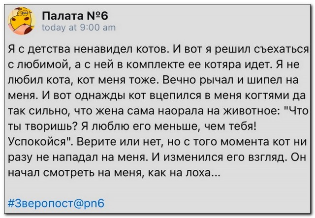 Забавные комментарии из социальных сетей (06.05.24)