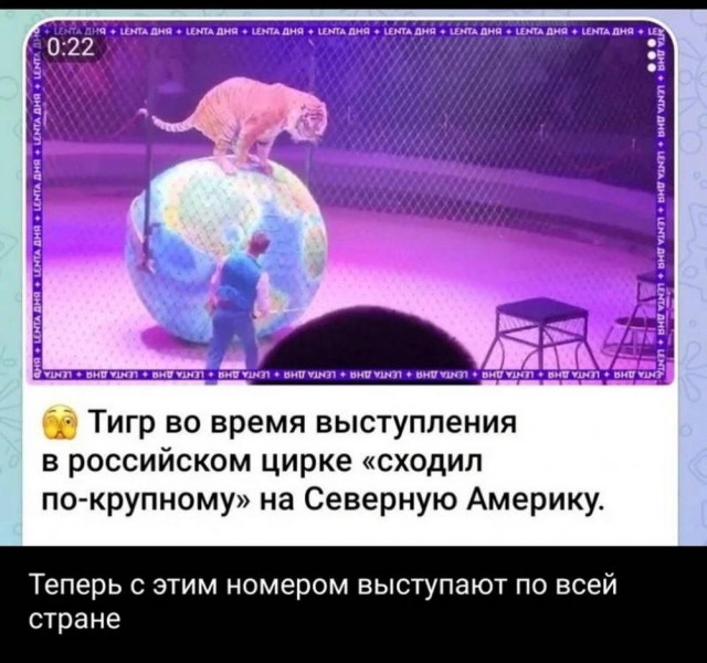 ТРРРидцать тРРРи от 7 мая