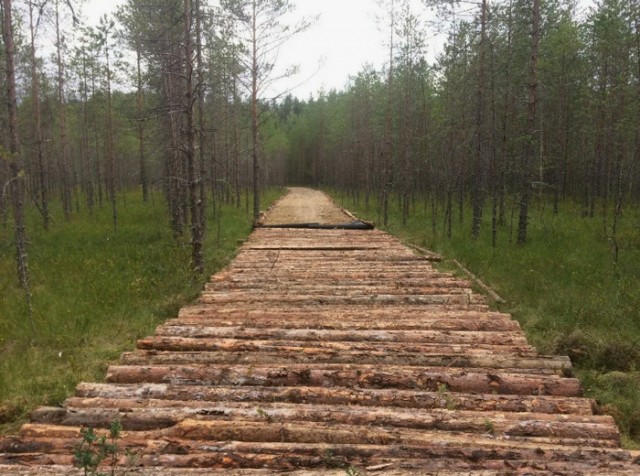 Гениальное решение для труднопроходимых мест
