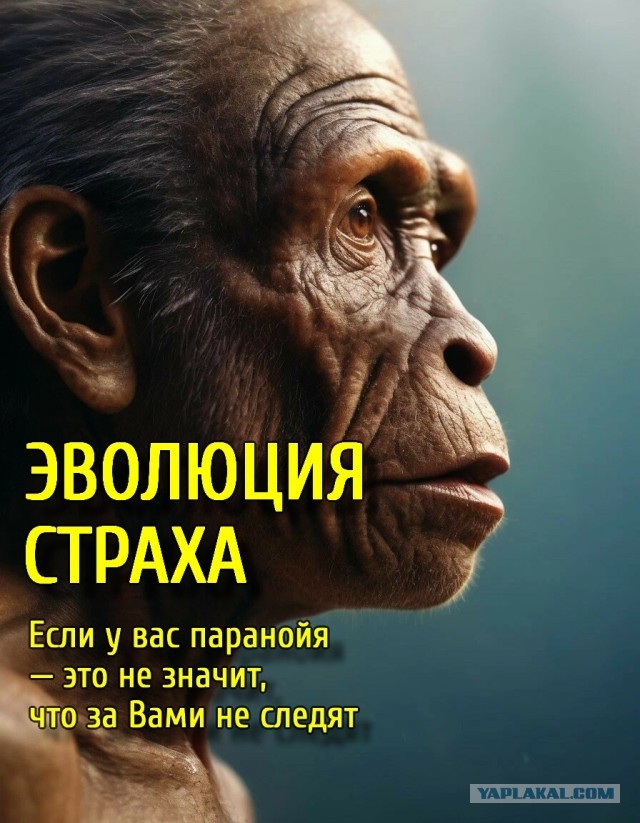 Почему стало страшно высказывать свое мнение?