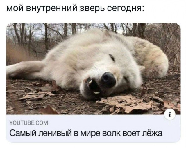 Веселые картинки к пятнице (16.08)