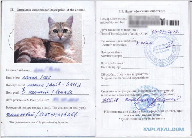 Кто он, настоящий мужчина (по мнению большинства бапп)...