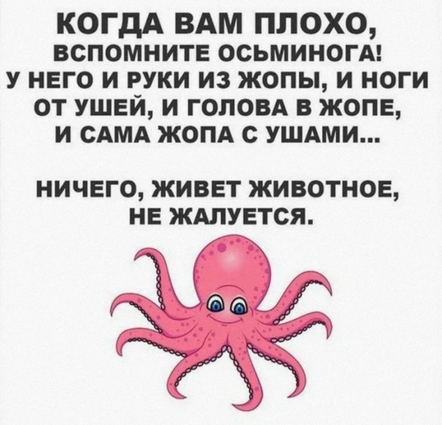 Так себе картинки 21.12.24