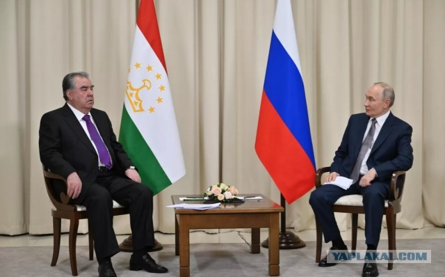 Путин заявил о готовности увеличить квоту для студентов из Таджикистана