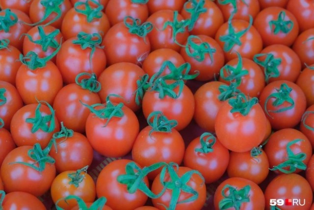 Виноваты санкции или дело в жадности?