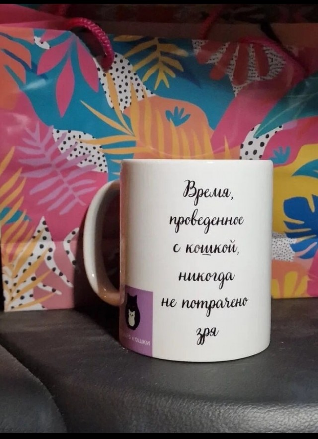 Жизнь домашнего приюта для котеек 533