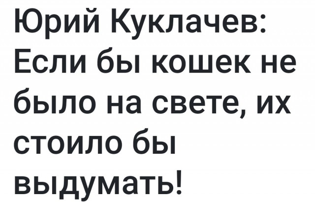Кот выбрал человека