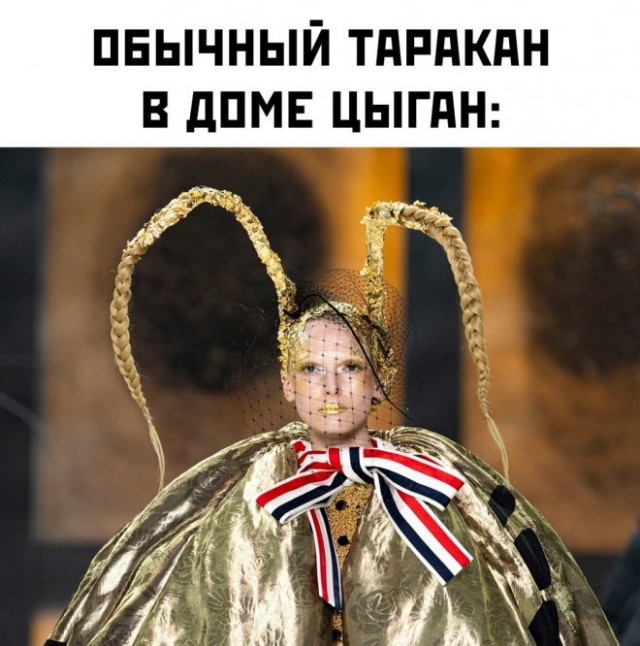 Веселые картинки в пятницу (21.03)