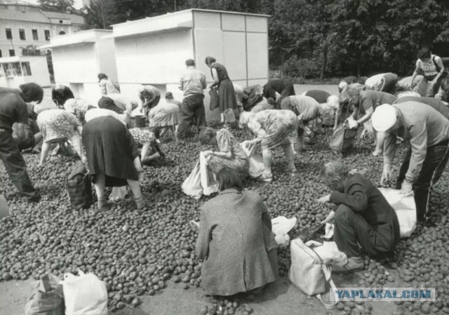 Ностальгия по работящим женщинам