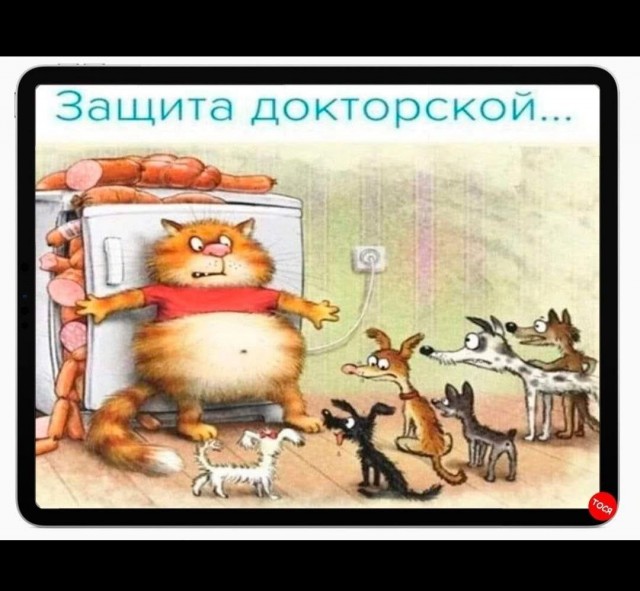 Веселые картинки в маленькую пятницу (16.04)