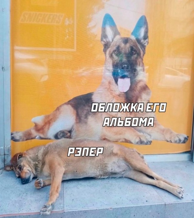 Веселые картинки в пятницу 25.02